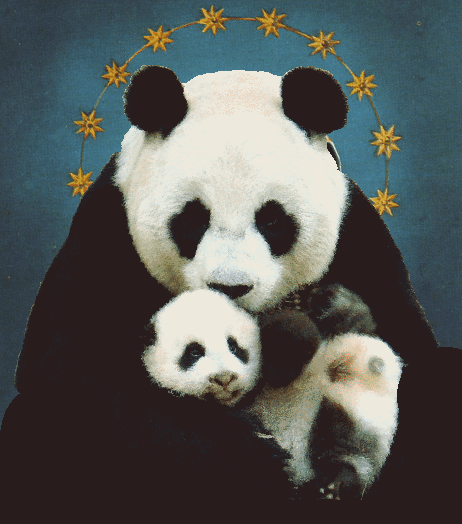 Panda Mária